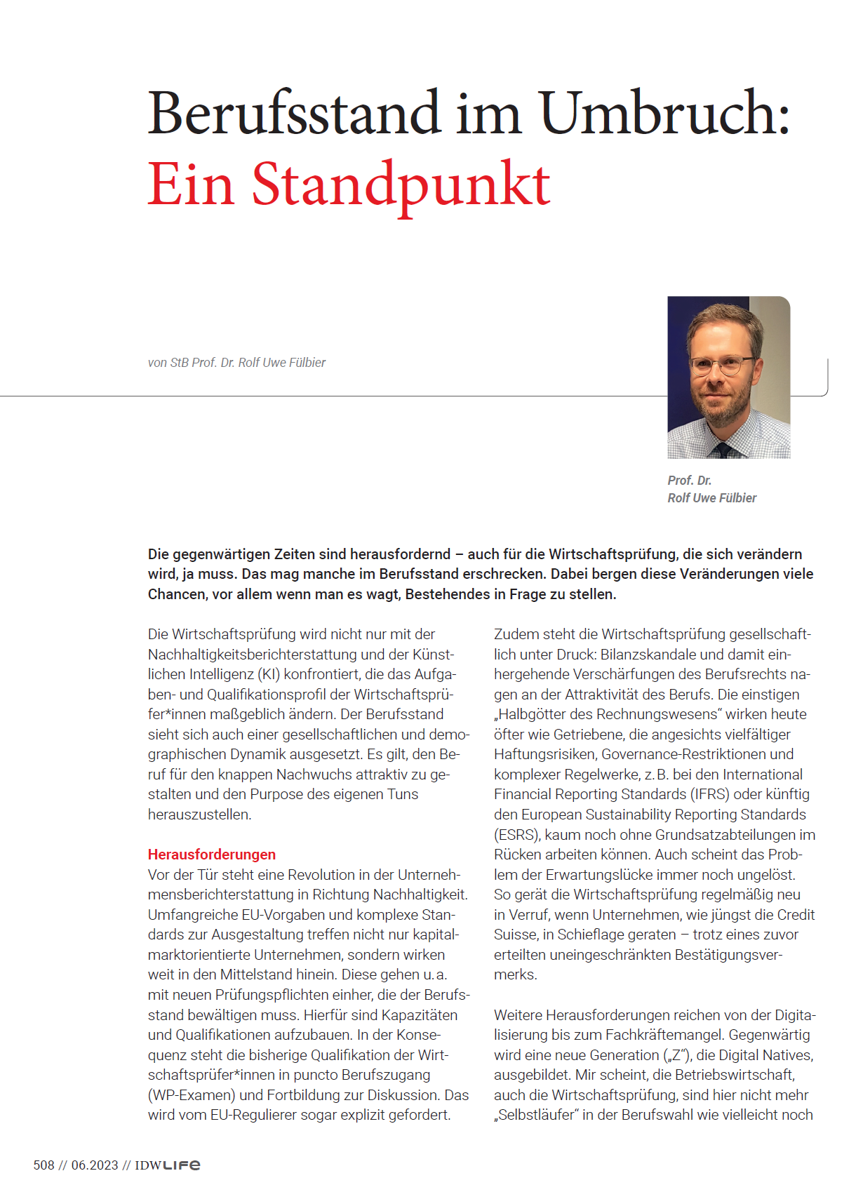 Wirtschaftsprüfung im Umbruch